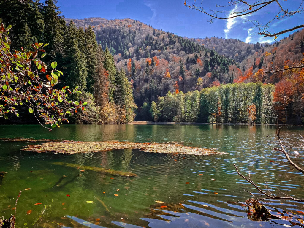 Bateti Lake Day Tour - 25 Jan - WT Georgia